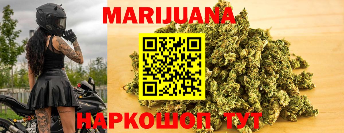 Конопля гибрид Тольятти